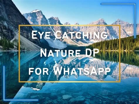 dp nature images|original nature images.